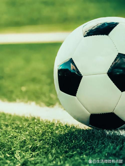 球探足球手机比分应用界面展示